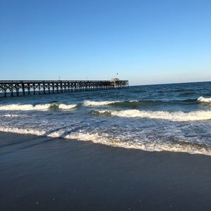 Meet your Posher, Kaela